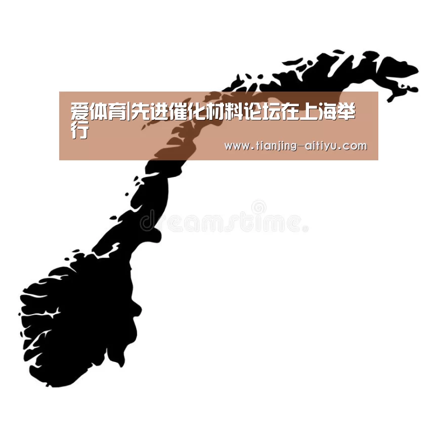 爱体育|先进催化材料论坛在上海举行(图2) 爱体育登录